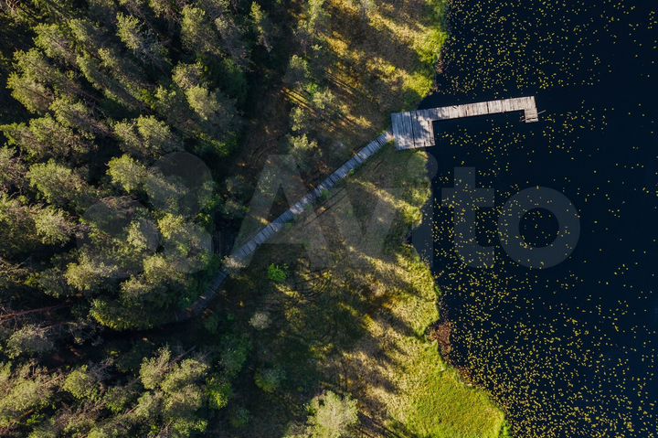 Участок 11 сот. (СНТ, ДНП)