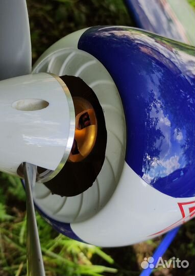 Радиоуправляемый самолет су-29