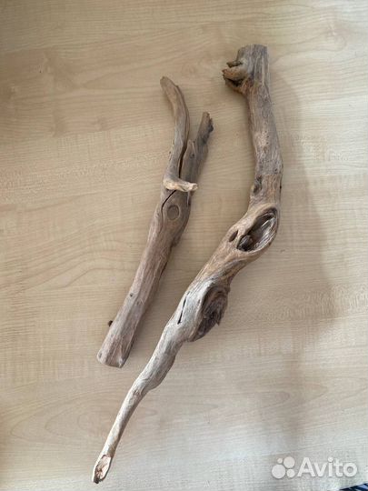 Коряги Driftwood