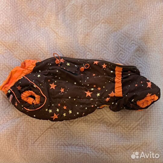 Комбинезон для таксы мальчика