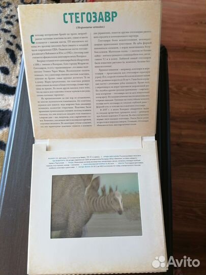 Динозавры Фотикулярная книга