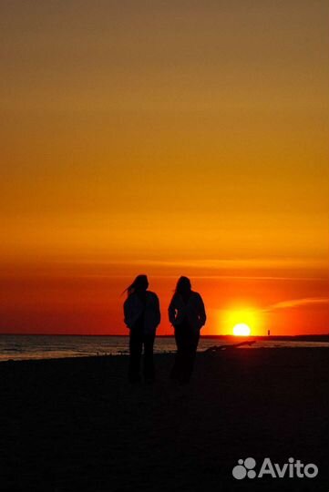 Фотосессия / видео / контент /reels