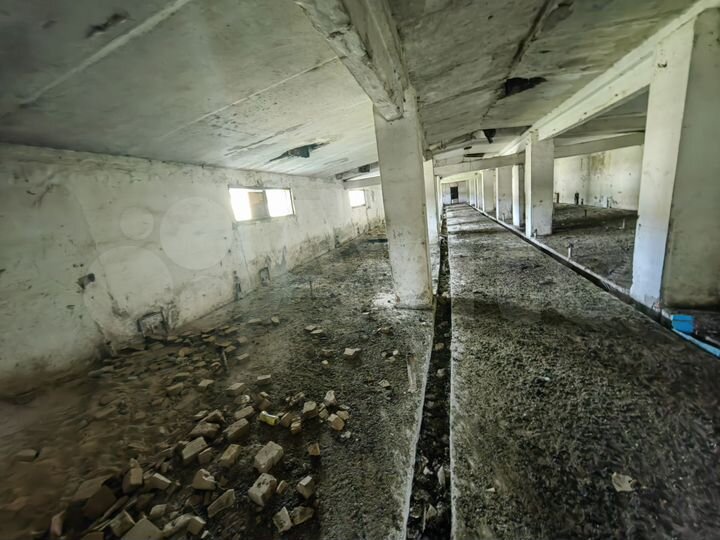 Участок 55 сот. (промназначения)