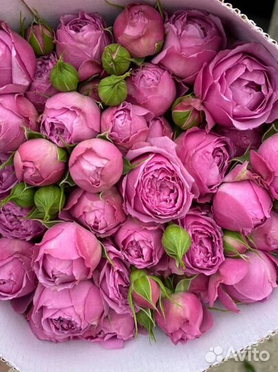 Букет из пионов/пионовидной розы