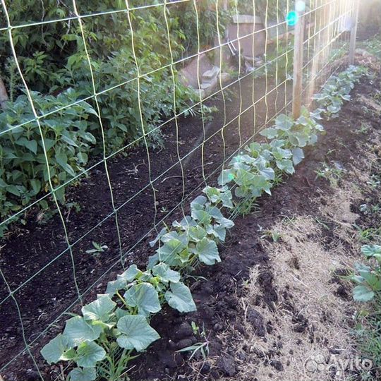 Сетка для огурцов 1,7х5м
