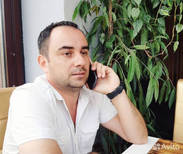 Заместитель директора