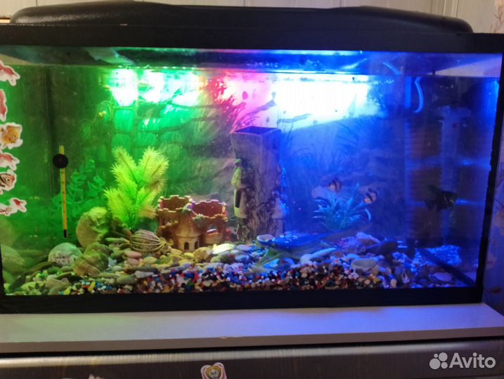 Аквариум