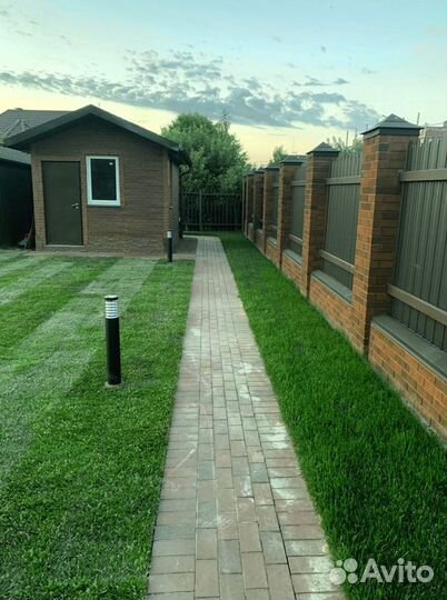 Рулонный газон 