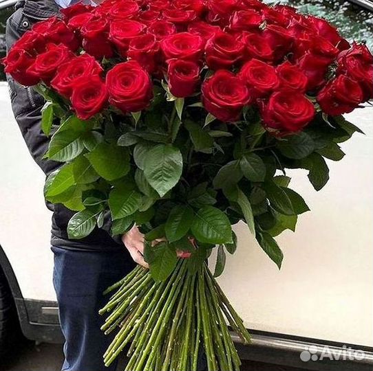 Розы Высокие 150см 160см 170см 180см 190см 2м