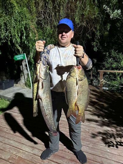 Участок 1000,01 га (ИЖС)