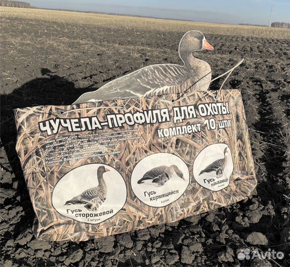 Профиль гуся чучело