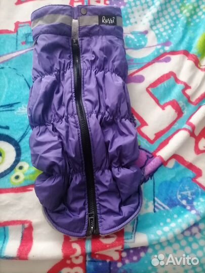 Одежда для собак