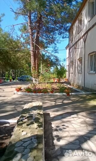 Отдых на черном море