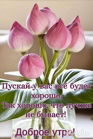 Услуги преподавателя английского языка
