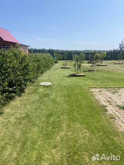 Покс травы, стрижка газона, расчистка участка