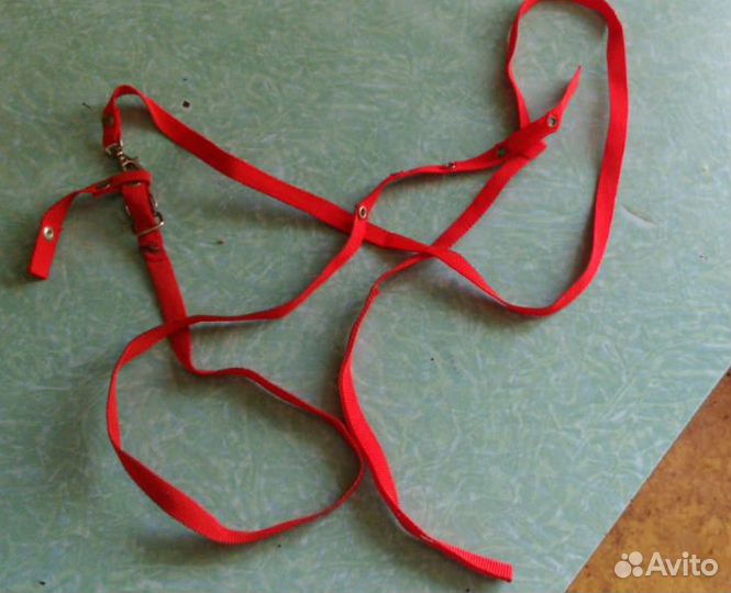 Шлейка для маленькой собаки или кошки