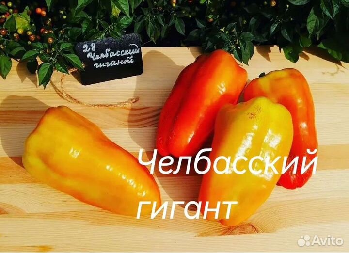 Семена редких сортов сладкого перца