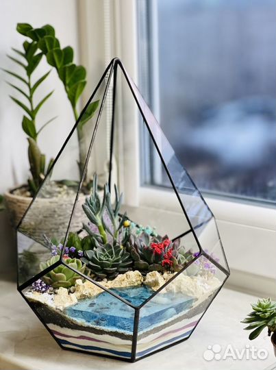 Флорариум с суккулентами