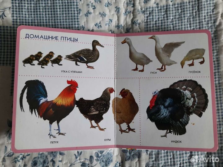 Книга для самых маленьких