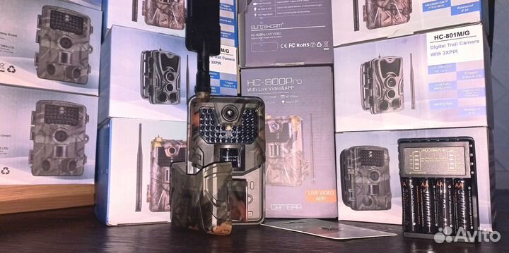 Фотоловушка Филин Сантэк. Разные много. настройка