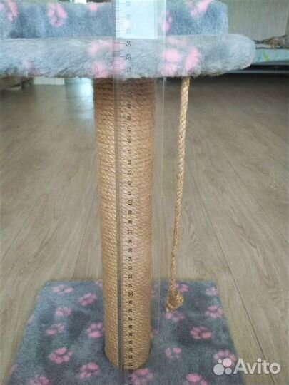 Когтеточка