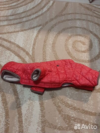 Одежда для собак