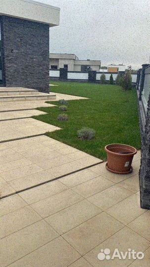 Укладка газона стандарт