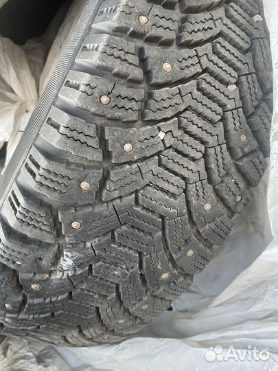 Cordiant Polar 175/65 R14