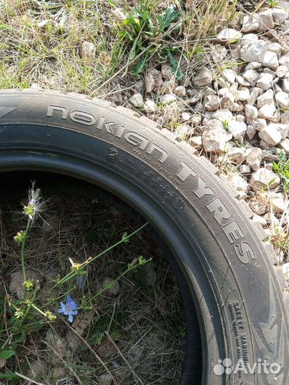 Nordman 7 195/55 R16