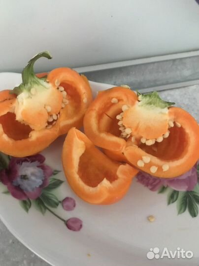 Семена сладкого перца