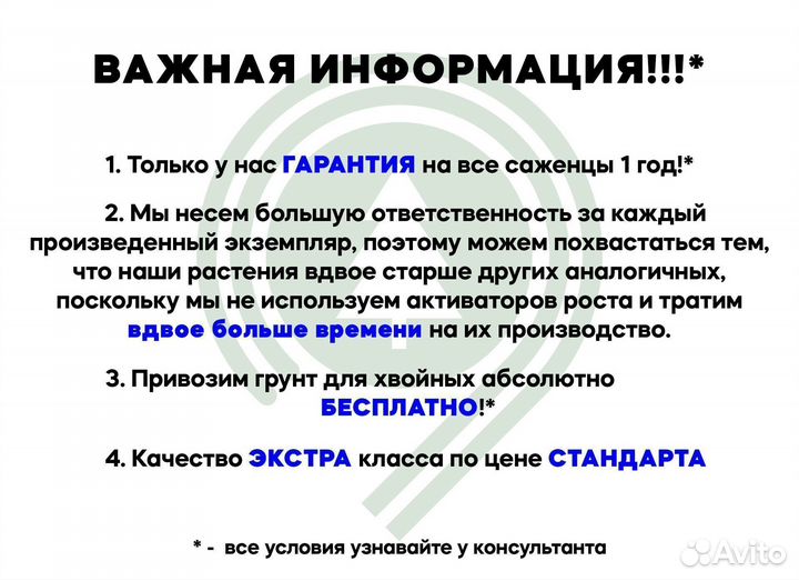 Можжевельник блю эрроу 1,94 м и др