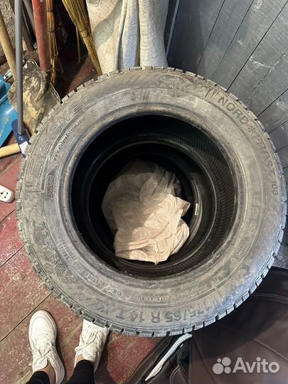 Gislaved NordFrost 100 175/65 R14