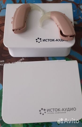 Багира Pro-01 XP