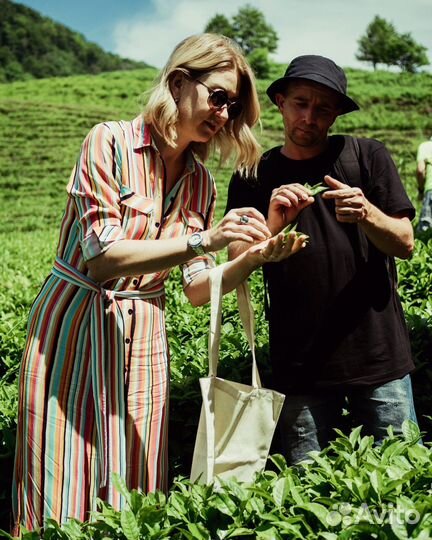 Индивидуальные экскурсии на чайные плантации ZEN