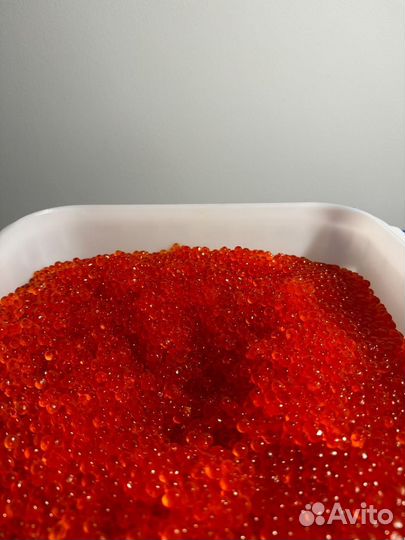 Икра оптом форель. Оптовикам