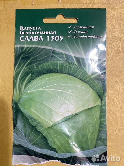 Рассада капусты