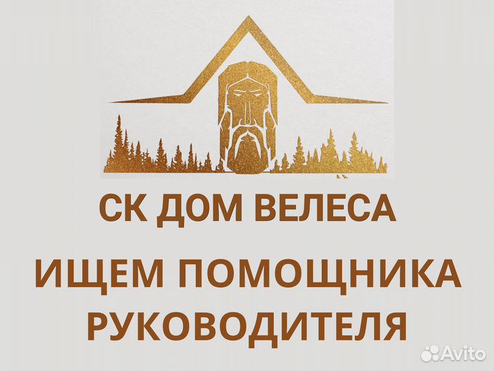 Помощник ассистент руководителя