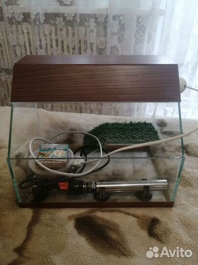 Аквариум(террариум)