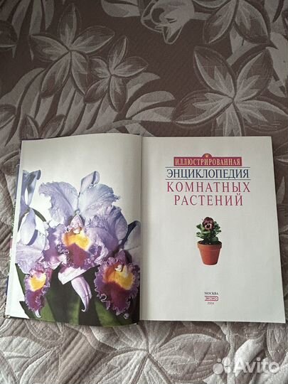 Энциклопедия комнатных растений