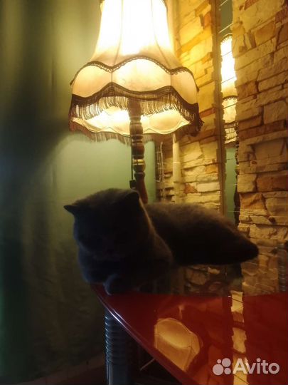 Торшер напольный с абажуром