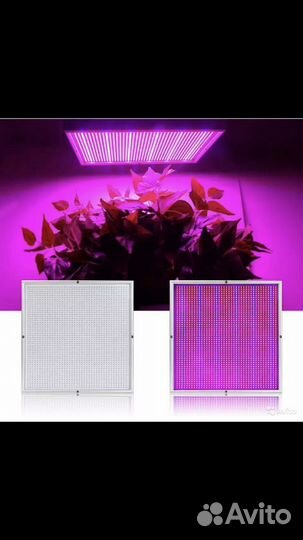 Фитосветильник