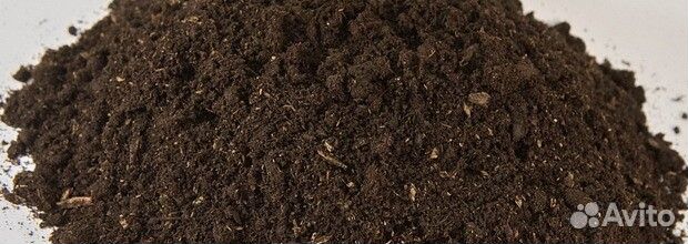 Торфогрунт