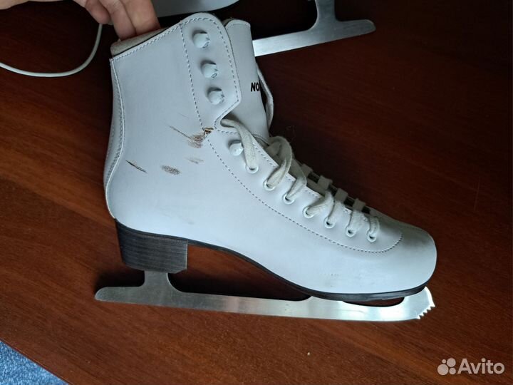 Коньки для фигурного катания Alice Nordway