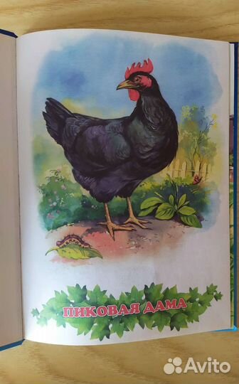 Детские книжки для малышей