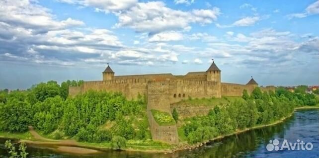 Тур в Ивангород