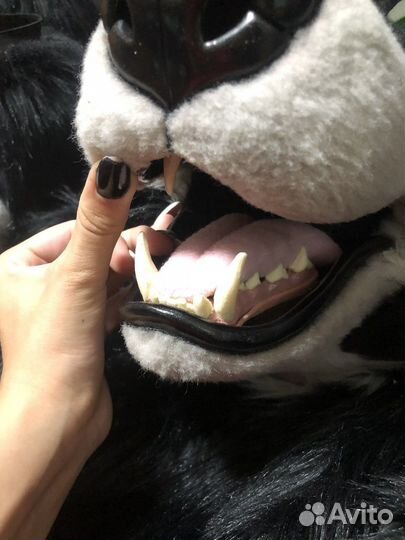 Фурсьют фурри