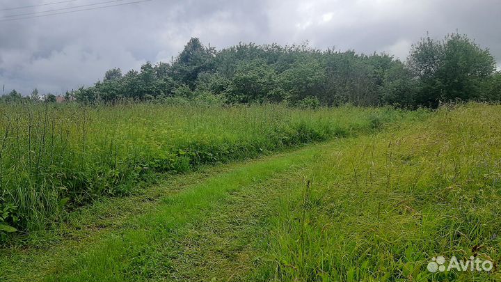 Оформление земельного участка от государства