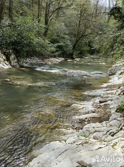 Индивидуальные экскурсии Абхазия/Красная поляна