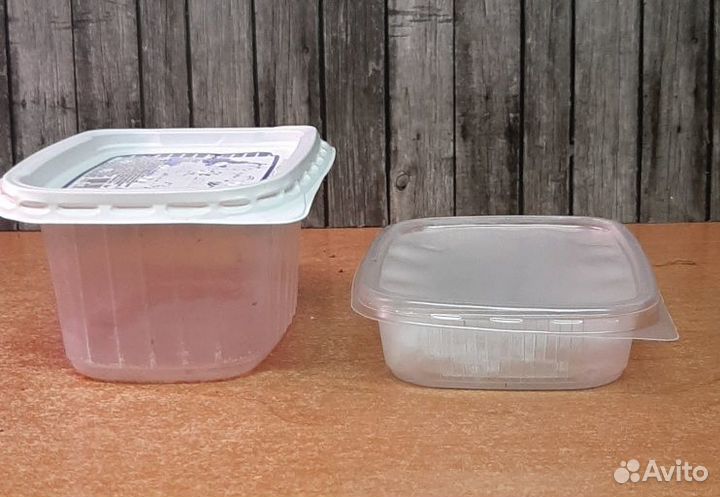 Черви красные