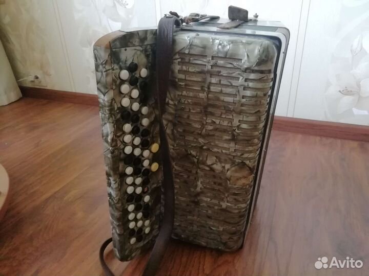 Баян weltmeister